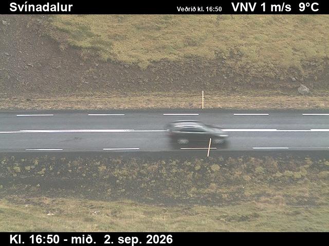 svinadalur_2-1788375729.jpg