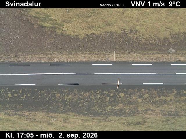 svinadalur_2-1788375939.jpg