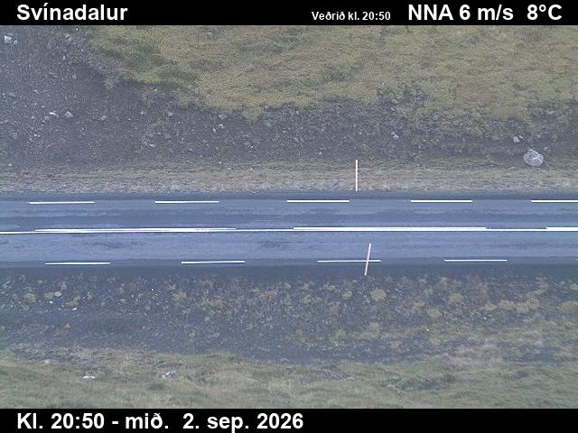 svinadalur_2-1788390070.jpg