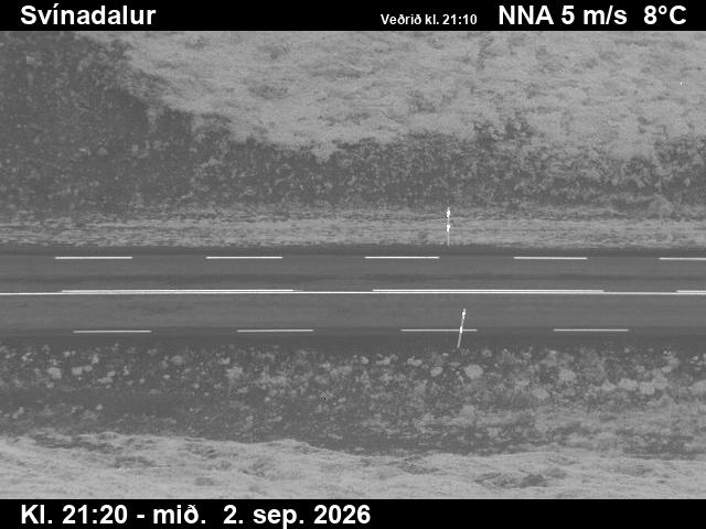 svinadalur_2-1788391572.jpg