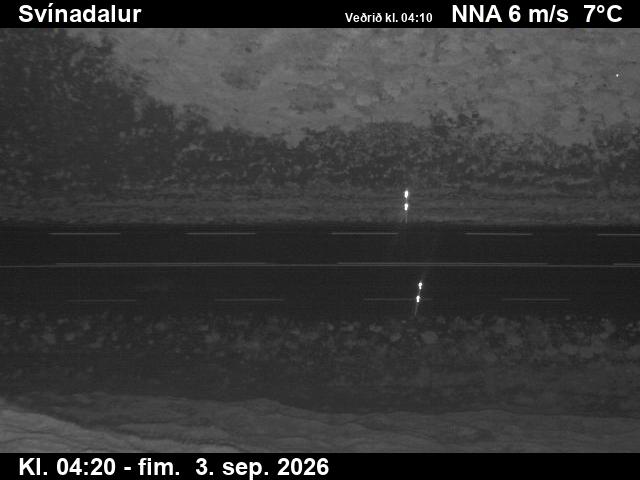 svinadalur_2-1788416727.jpg