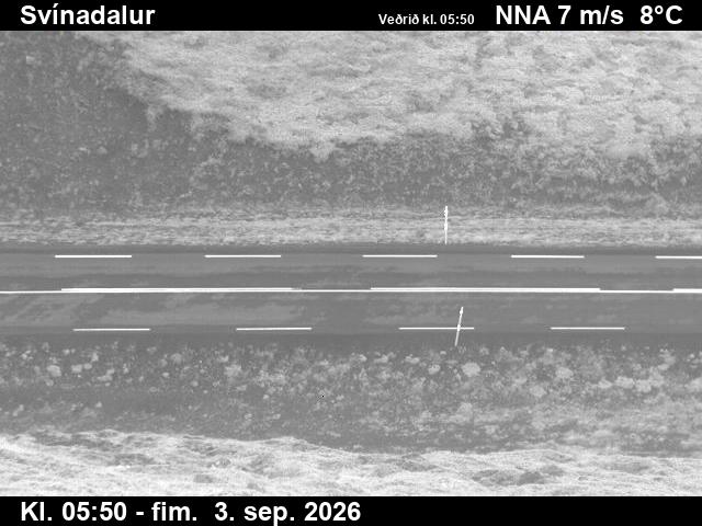 svinadalur_2-1788422464.jpg