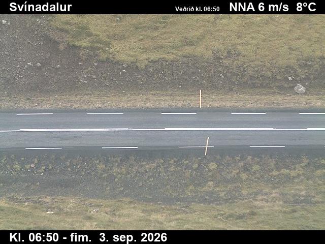 svinadalur_2-1788426089.jpg