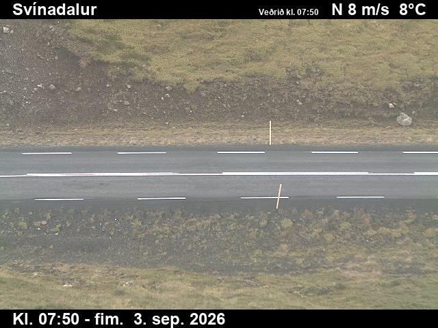 svinadalur_2-1788429666.jpg
