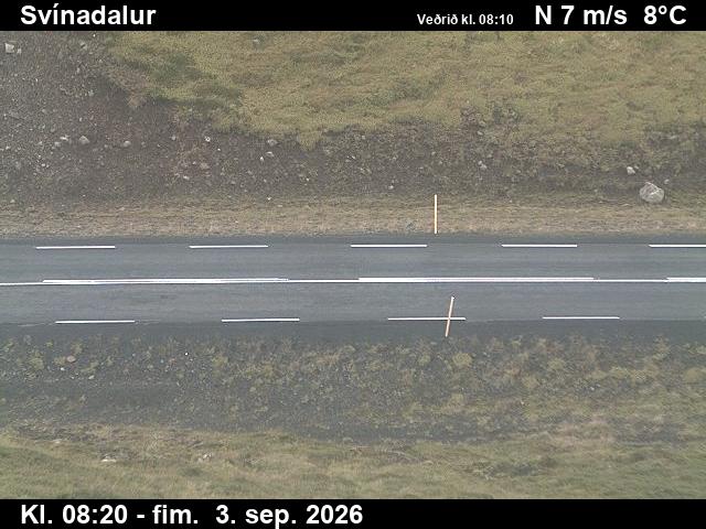 svinadalur_2-1788431158.jpg