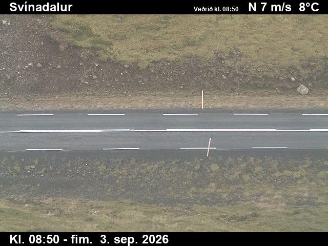 svinadalur_2-1788433268.jpg