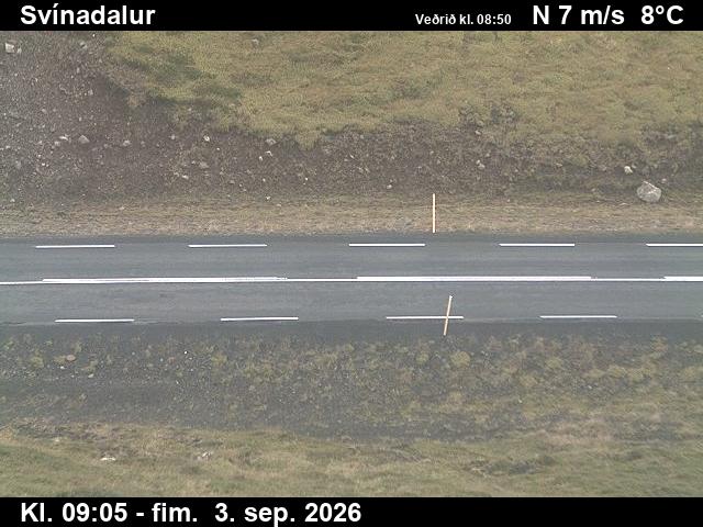 svinadalur_2-1788433542.jpg