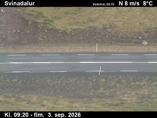 svinadalur_2-1788434735.jpg