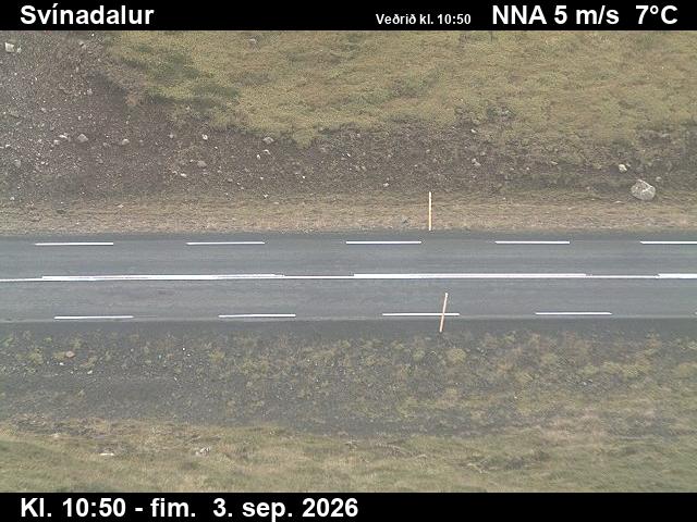 svinadalur_2-1788440545.jpg