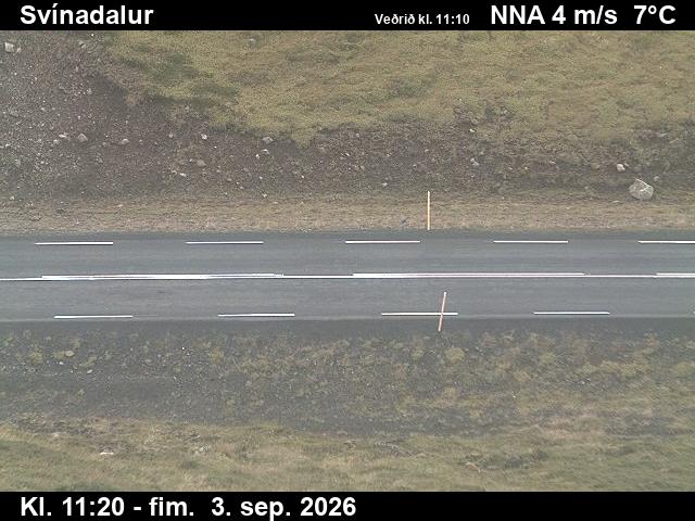 svinadalur_2-1788441931.jpg