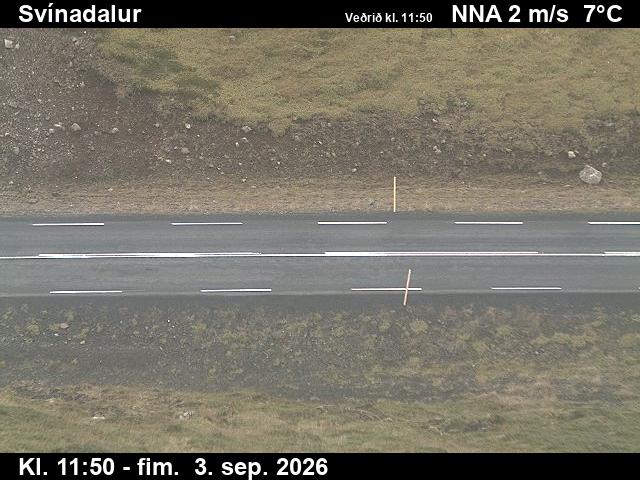 svinadalur_2-1788444062.jpg