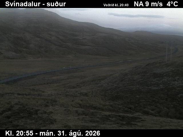 svinadalur_3-1788217280.jpg