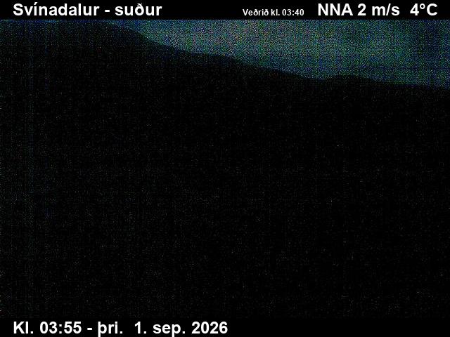svinadalur_3-1788242731.jpg