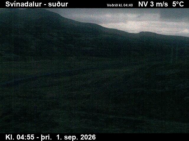 svinadalur_3-1788246068.jpg