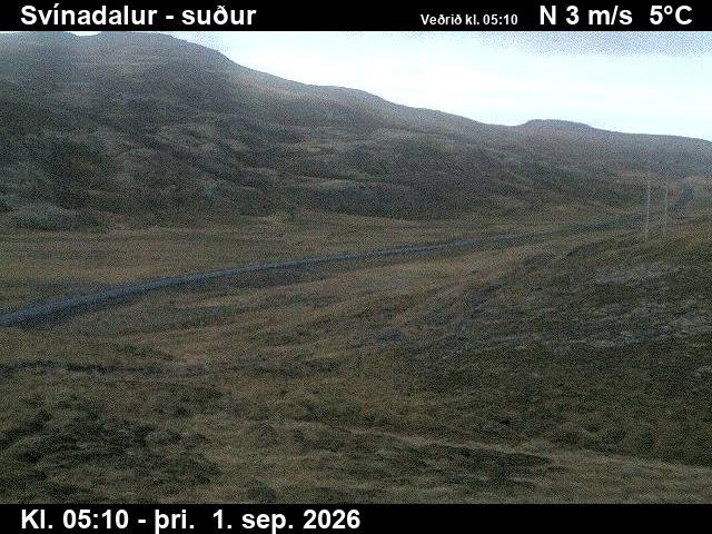 svinadalur_3-1788247534.jpg