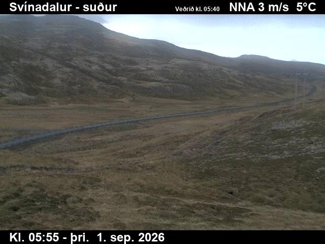 svinadalur_3-1788249656.jpg