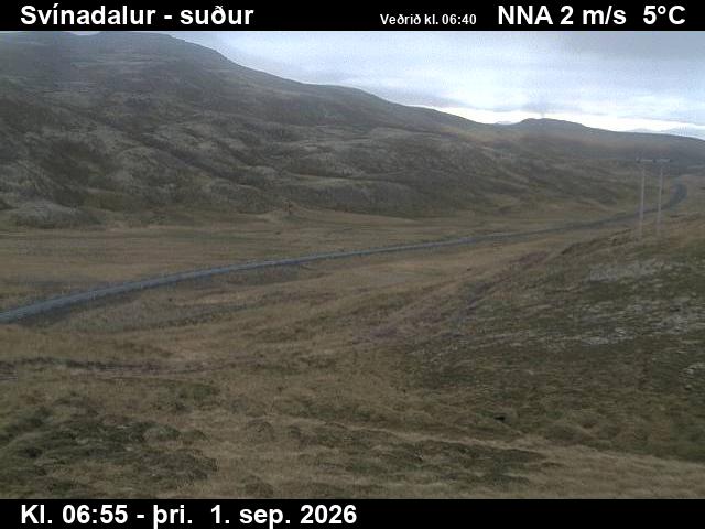 svinadalur_3-1788253295.jpg