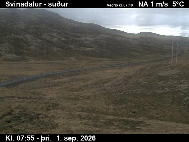 svinadalur_3-1788256844.jpg