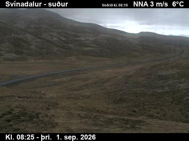 svinadalur_3-1788258482.jpg