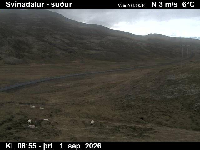 svinadalur_3-1788260477.jpg
