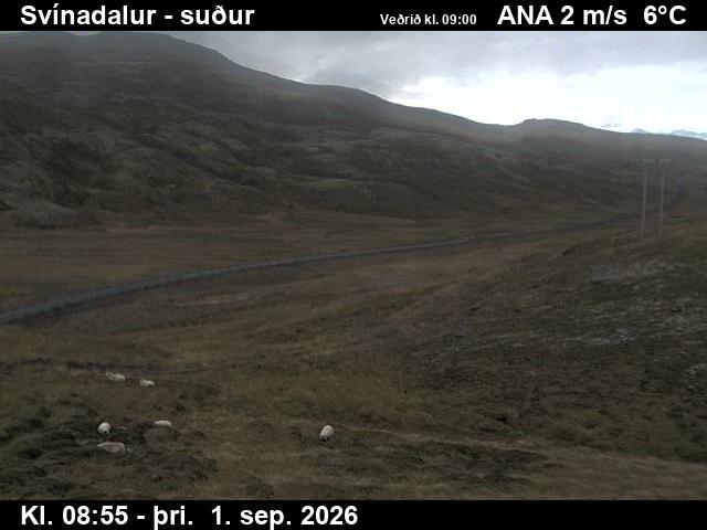 svinadalur_3-1788260787.jpg