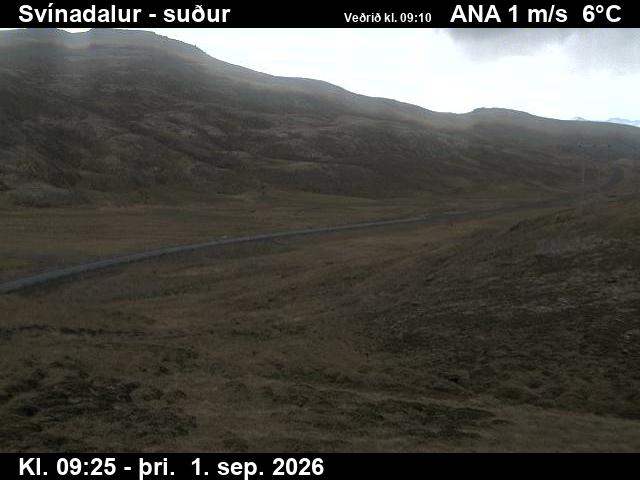 svinadalur_3-1788261929.jpg