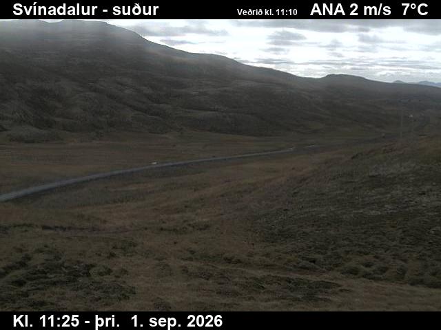 svinadalur_3-1788269123.jpg