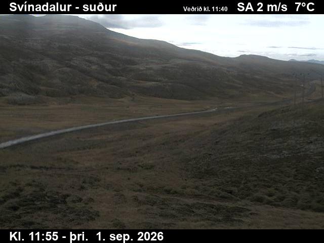 svinadalur_3-1788271275.jpg