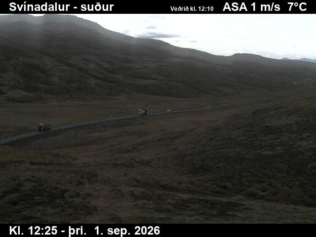 svinadalur_3-1788272747.jpg