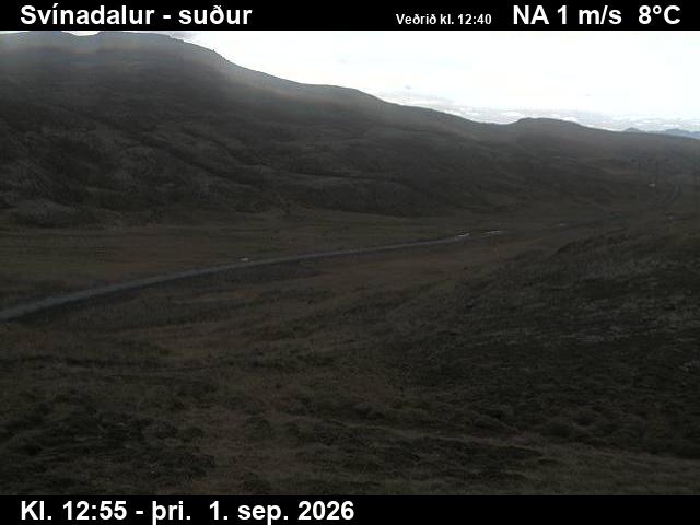 svinadalur_3-1788275168.jpg