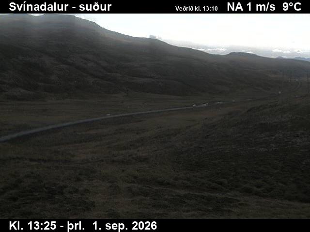 svinadalur_3-1788276340.jpg