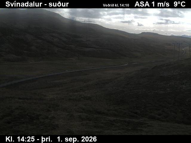 svinadalur_3-1788279949.jpg