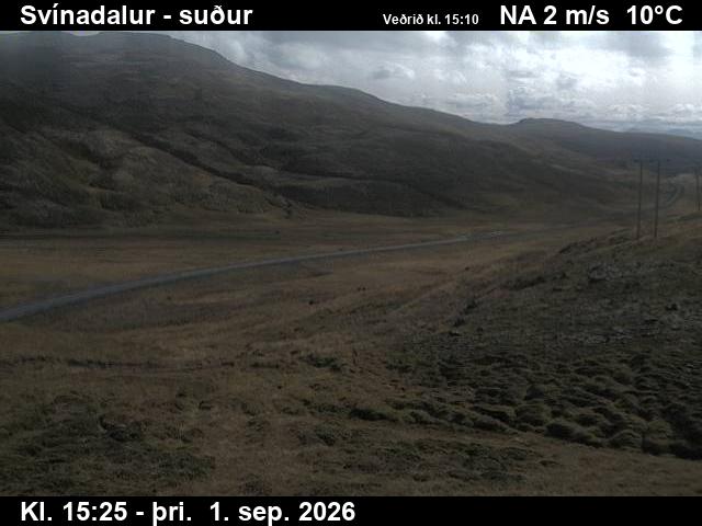 svinadalur_3-1788283545.jpg