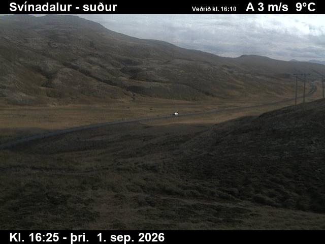 svinadalur_3-1788287130.jpg
