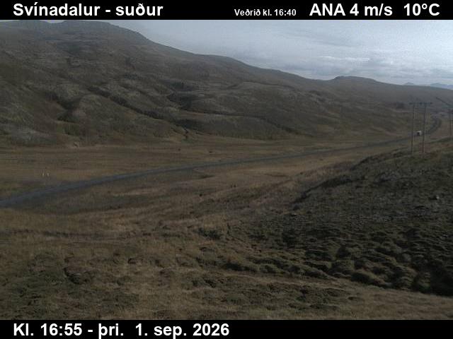svinadalur_3-1788289299.jpg