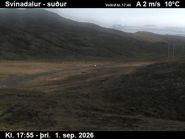 svinadalur_3-1788292851.jpg