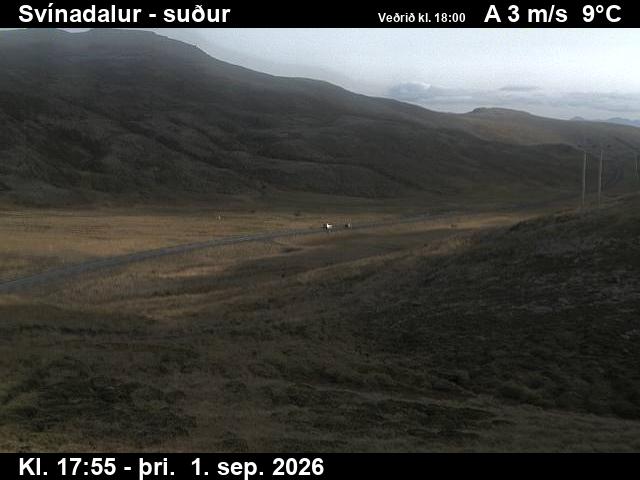 svinadalur_3-1788293186.jpg