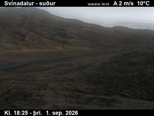svinadalur_3-1788294328.jpg