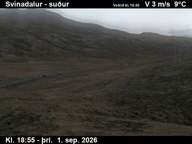 svinadalur_3-1788296733.jpg