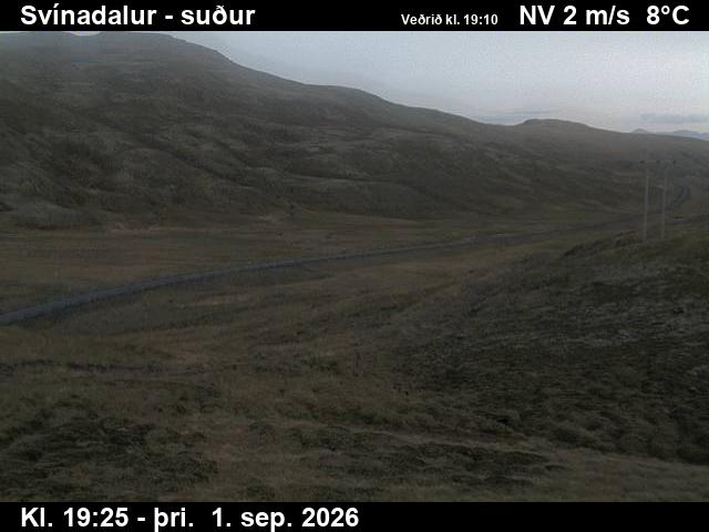 svinadalur_3-1788297943.jpg
