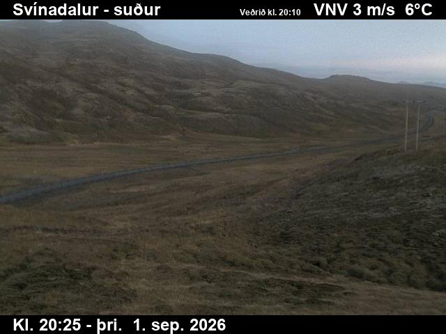 svinadalur_3-1788301550.jpg