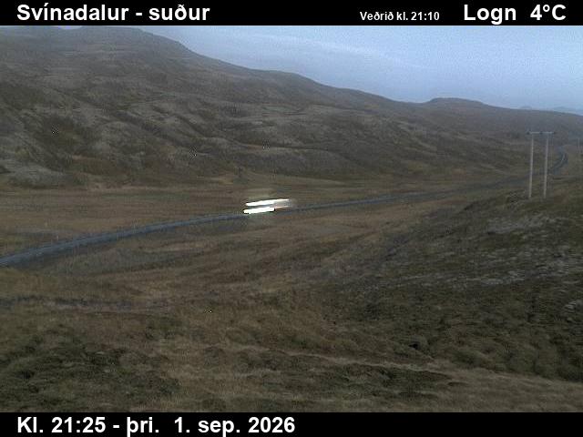 svinadalur_3-1788305130.jpg