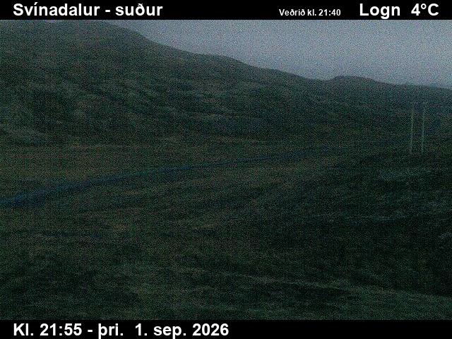 svinadalur_3-1788307338.jpg