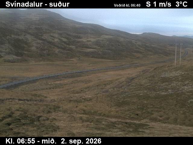 svinadalur_3-1788339973.jpg