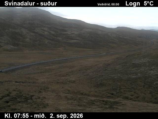 svinadalur_3-1788343604.jpg
