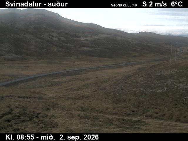 svinadalur_3-1788346901.jpg