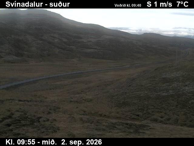 svinadalur_3-1788350471.jpg
