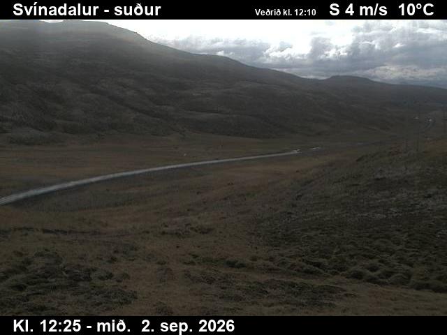 svinadalur_3-1788359136.jpg