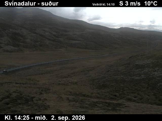 svinadalur_3-1788366340.jpg