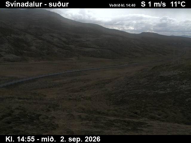svinadalur_3-1788368476.jpg